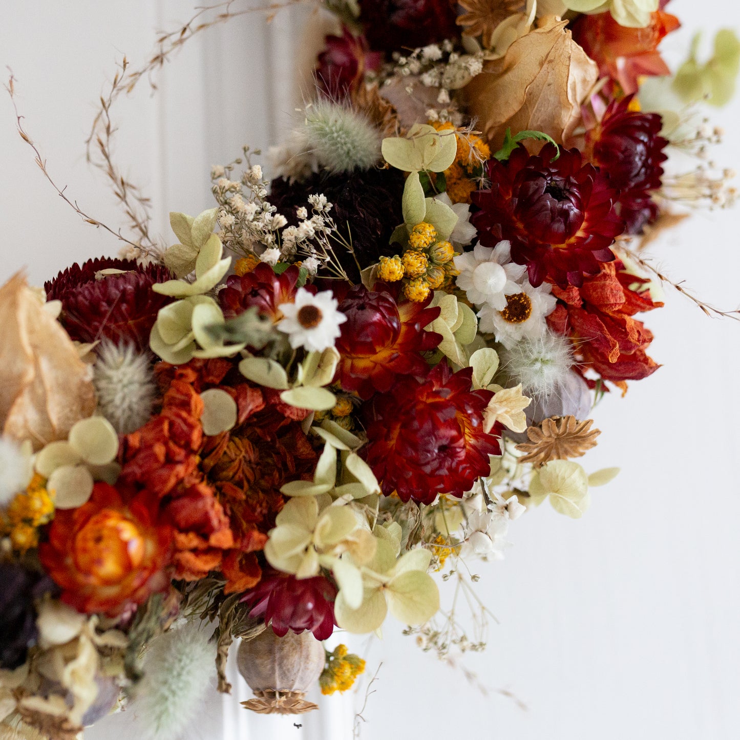Autumnal arrangement close up of red and orange strawflower and dahlias, yellow Lona flowers and hydrangeas