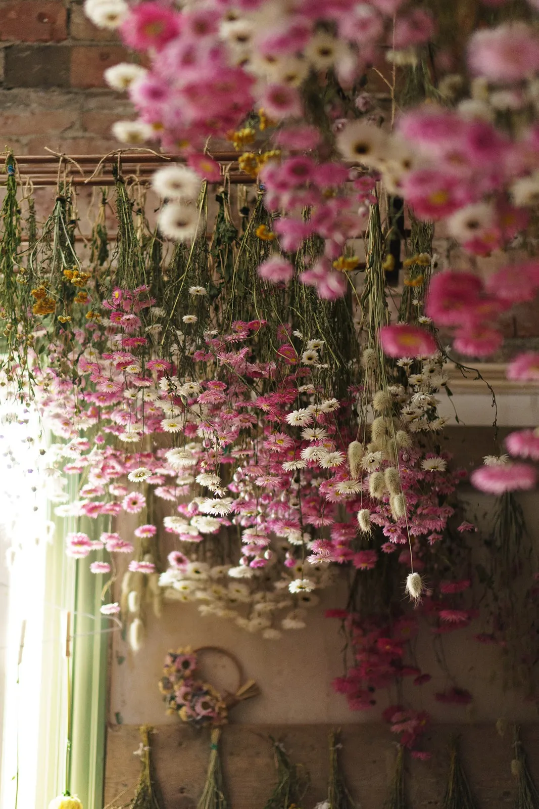 Bunches of pink and white flowers hanging upside down to dry, with a small wreath on the wall below.